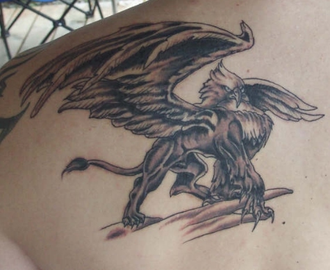 Black Ink Griffin Tattoo On Left Back Shoulder