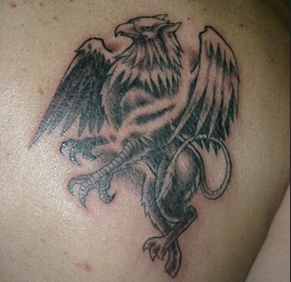 Black Ink Griffin Tattoo On Right Back Shoulder