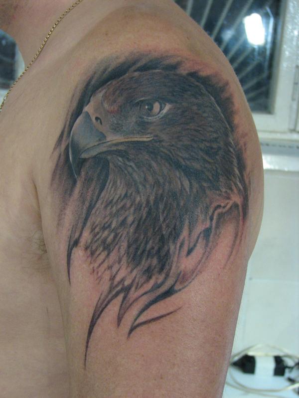 Black Ink Hawk Head Tattoo On Man Left Shoulder