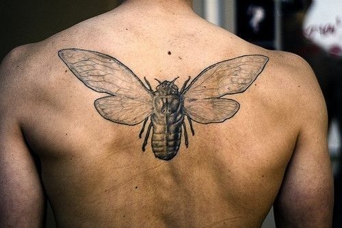 Black Ink Insect Tattoo On Man Upper Back
