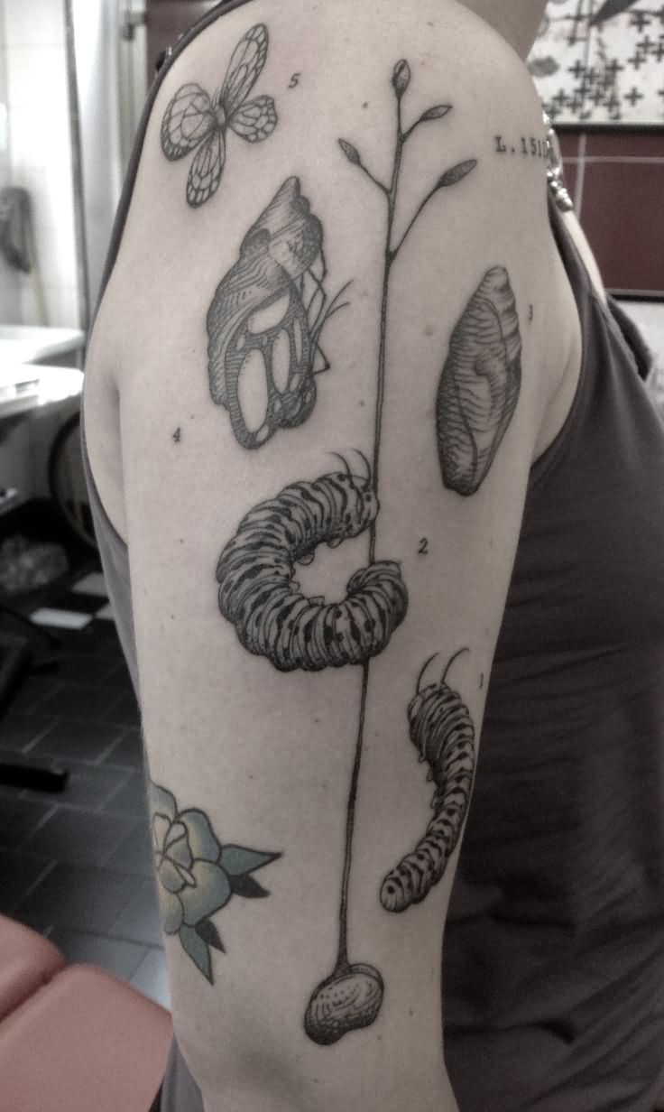 Black Ink Insects Tattoo On Right Half Sleeve