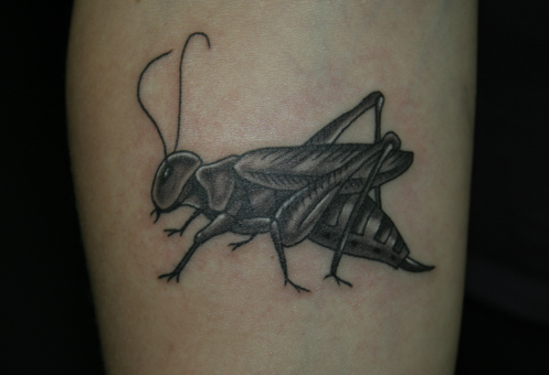 Black Ink grasshopper Tattoo Design For Sleeve