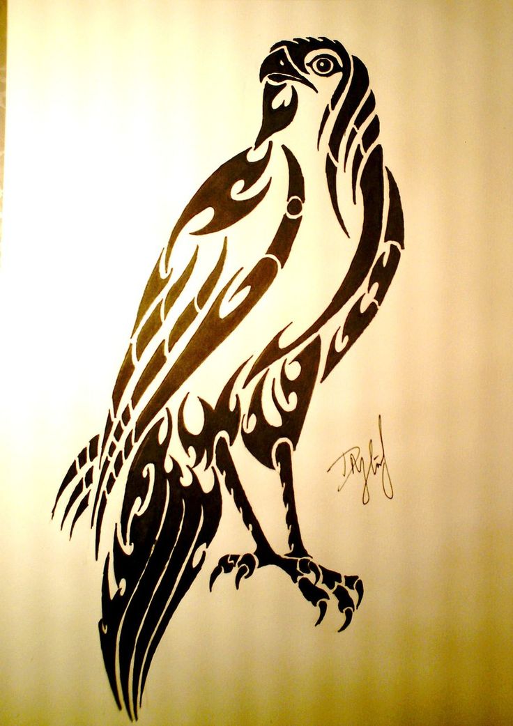Black Tribal Hawk Tattoo Stencil
