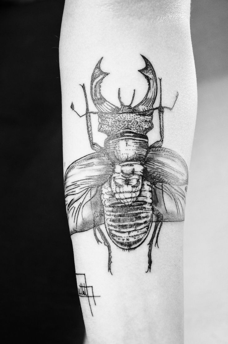 Classic Black And Grey Insect Tattoo On Right Arm