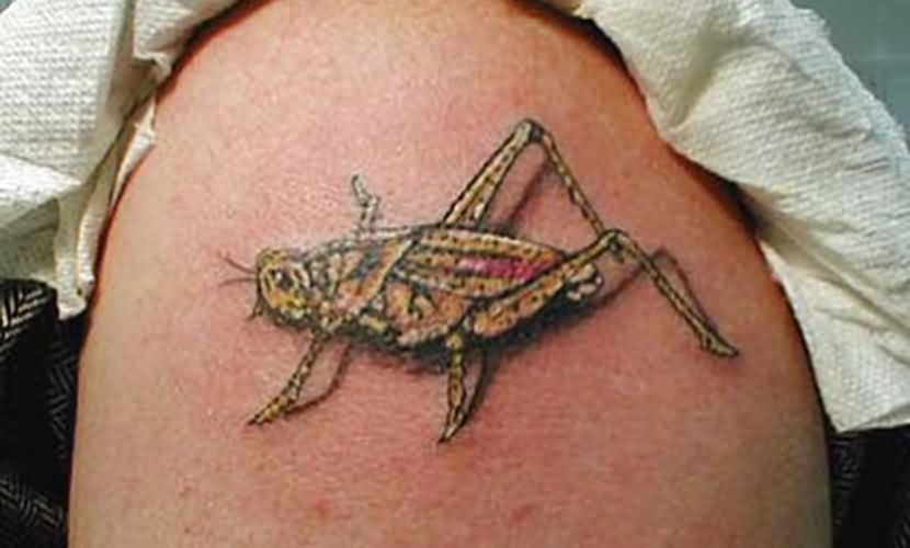 Classic Grasshopper Tattoo On Left Shoulder