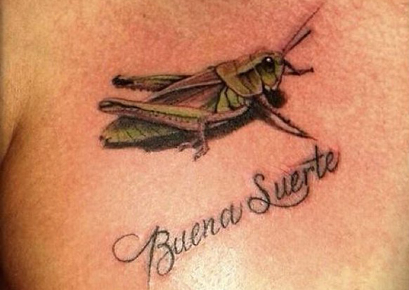 Classic Grasshopper Tattoo On Right Front Shoulder