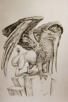 Classic Grey Ink Griffin Tattoo Design