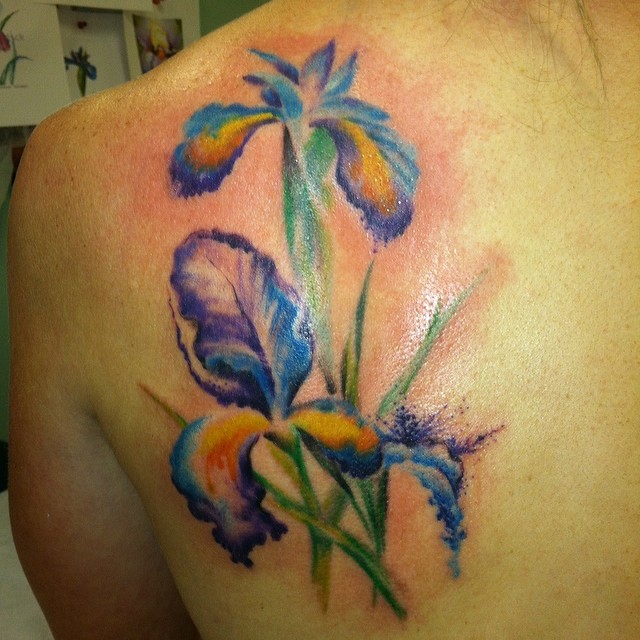 Colorful Iris Flower Tattoo On Left Back Shoulder