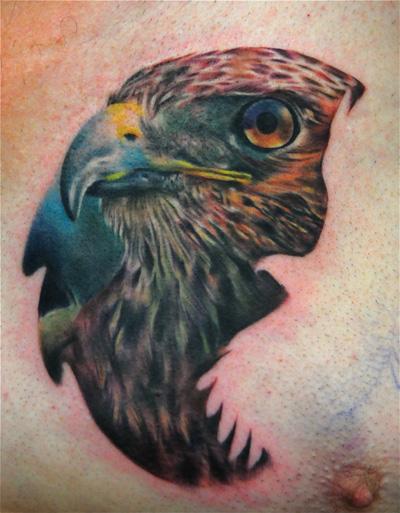 Cool Hawk Head Tattoo On Man Left Front Shoulder