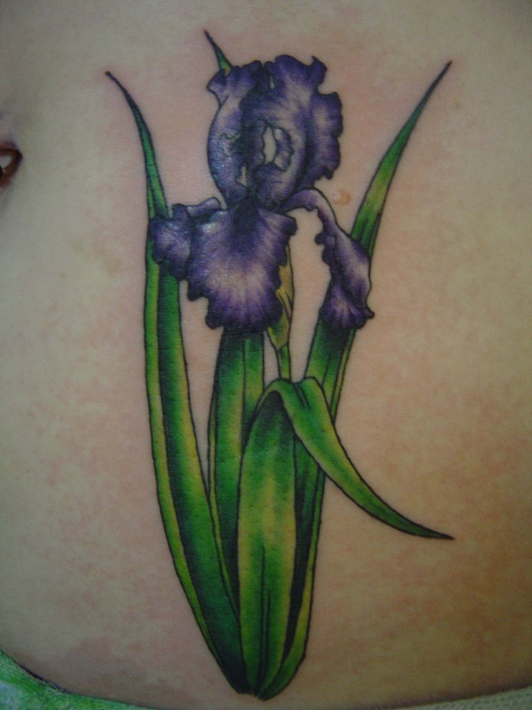 Cool Purple Ink Iris Flower Tattoo Design For Stomach