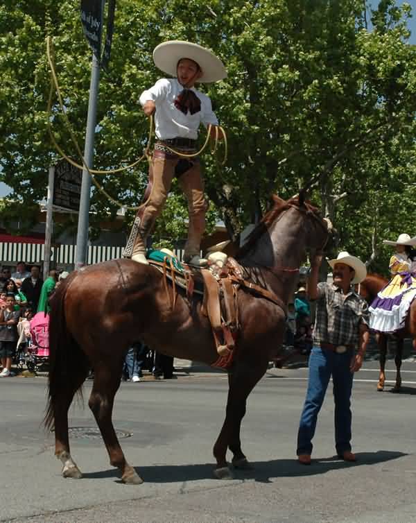 Cowboy During Cinco De Mayo Parade
