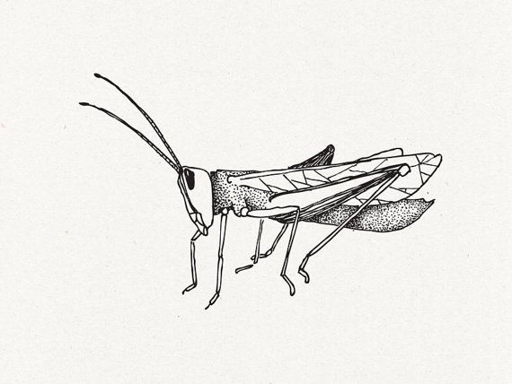 Dotwork Grasshopper Tattoo Design