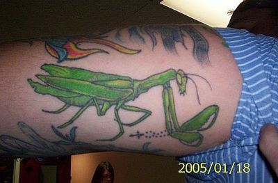 Green Ink Grasshopper Tattoo On Right Bicep