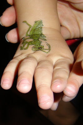 Green Ink Grasshopper Tattoo On Right Hand