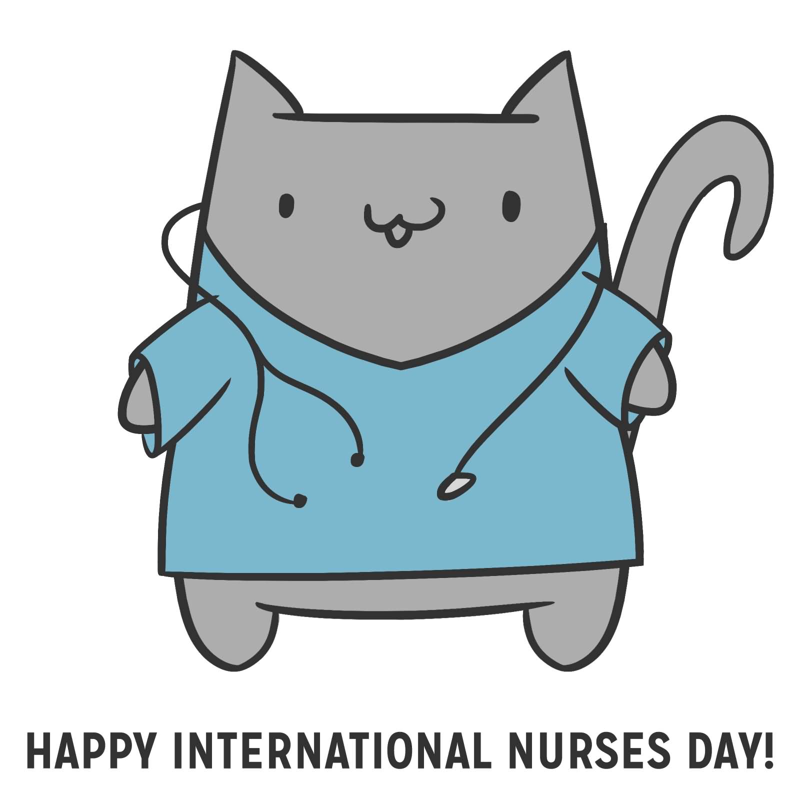 Happy International Nurses Day Fat Cat Nurse Picture