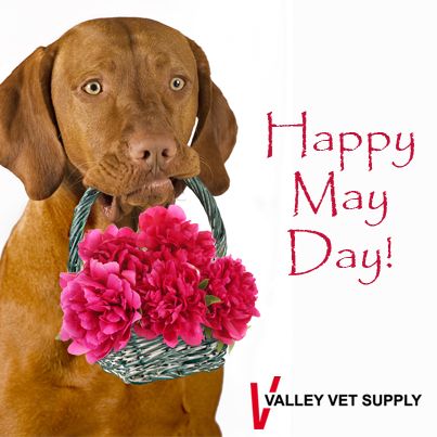 Happy May Day Dog With Flower Basket