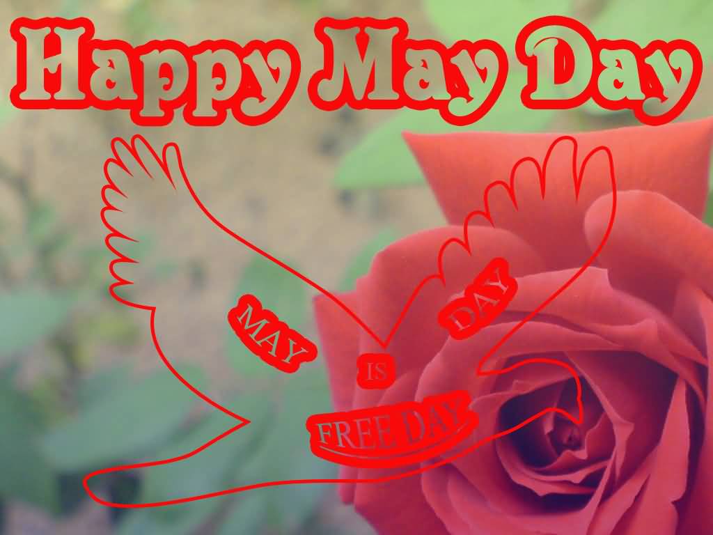 Happy May Day May Day Is Free Day Flying Dove Card