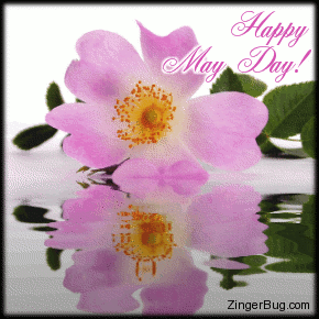Happy May Day Pink Flower Water Reflection Animated Ecard