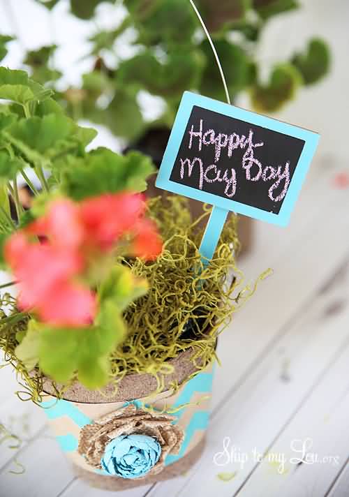 Happy May Day Sign Board In Flower Pot
