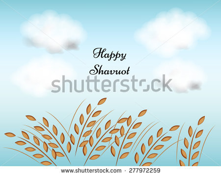 Happy Shavuot Wheat Crop Illustration
