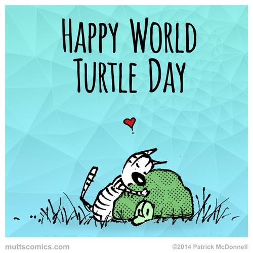 Happy World Turtle Day Clipart