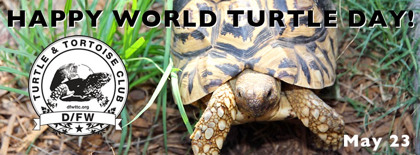 Happy World Turtle Day May 23