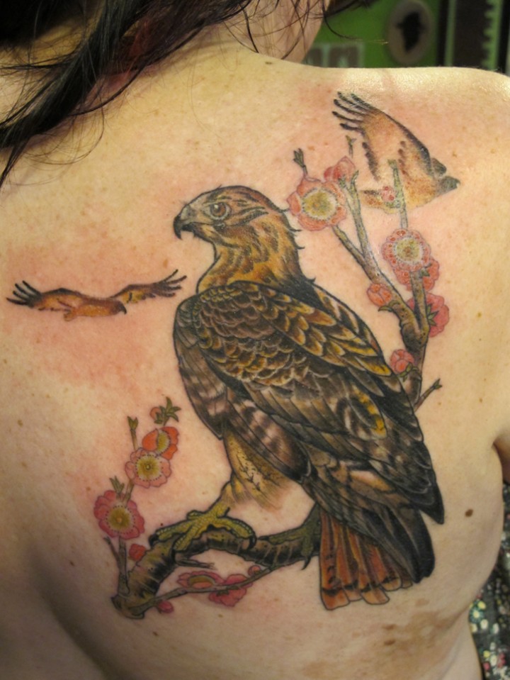 Hawk On Branch Tattoo On Girl Right Back Shoulder