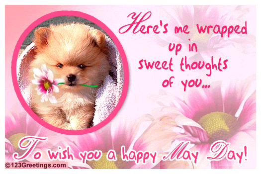 Here's Me Wrapped Up In Sweet Thoughts Of You To Wish You A Happy May Day Card