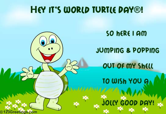 Hey It's World Turtle Day So Here I Am Jumping & Popping Our Of My Shell To Wish You A Jolly Good Day