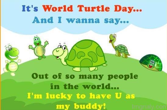 It’s World Turtle Day And I Wanna Say Out Of So Many People In The World I’m Lucky To Have You As My Buddy