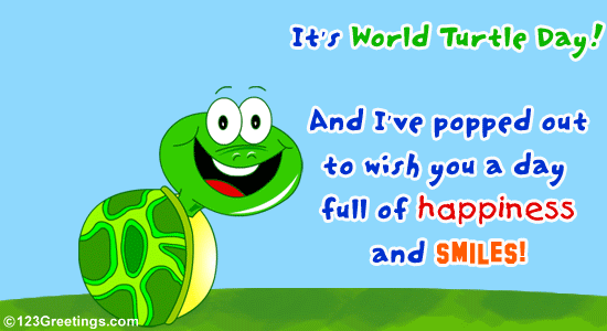 Its World Turtle Day And I’ve Popped Out To Wish You A Day Full Of Happiness And Smiles Animated Ecard