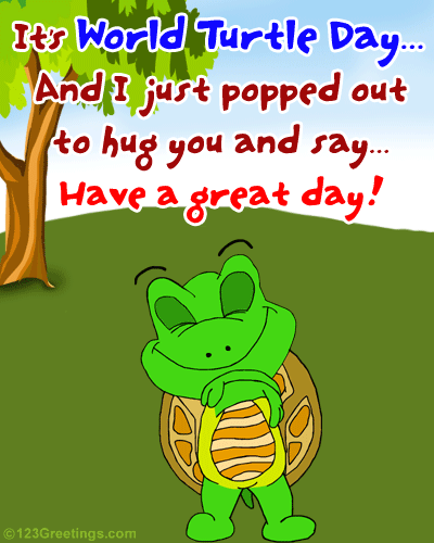 It’s World Turtle Day Animated Ecard