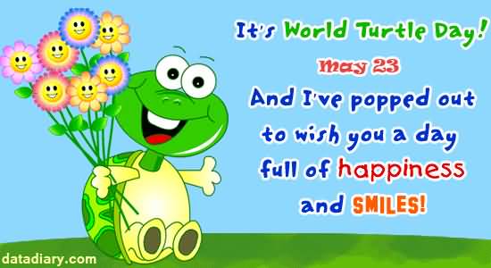It’s World Turtle Day May 23 And I’ve Popped Out To Wish You A Day Full Of Happiness And Smiles
