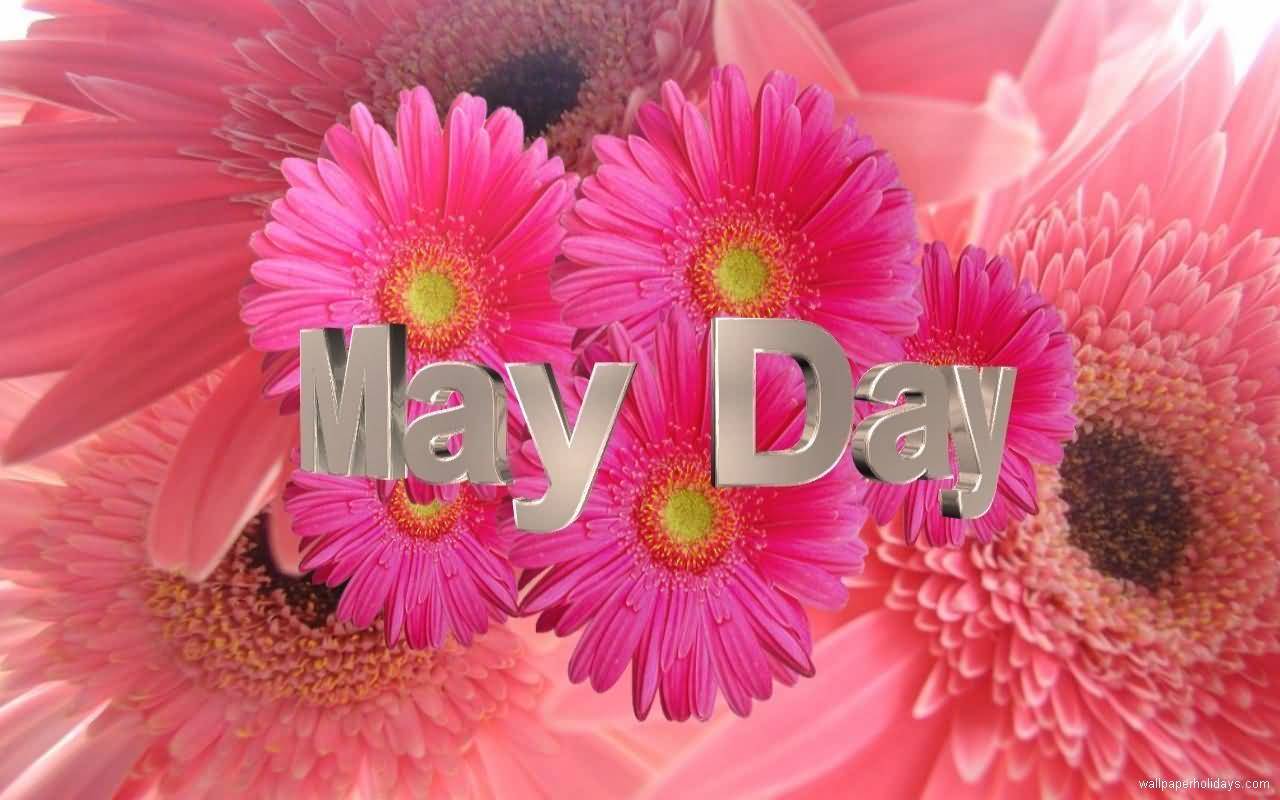 May Day 2017 Flowers Picture