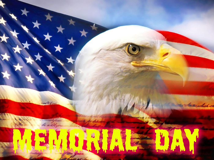 Memorial Day Eagle And American Flag