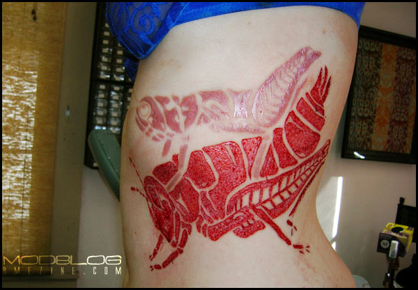 Red Ink Grasshopper Tattoo On Left Side Rib