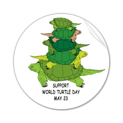 Support World Turtle Day May 23 Sticker