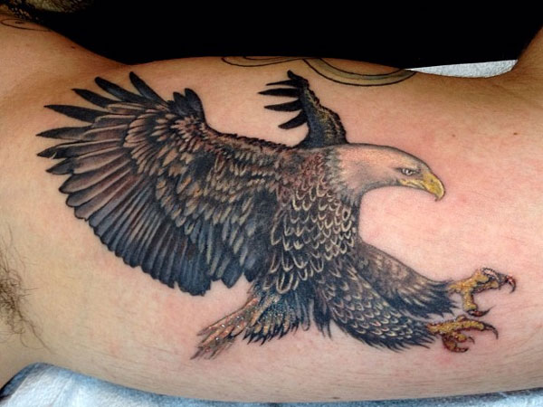 Traditional Flying Hawk Tattoo On Left Bicep