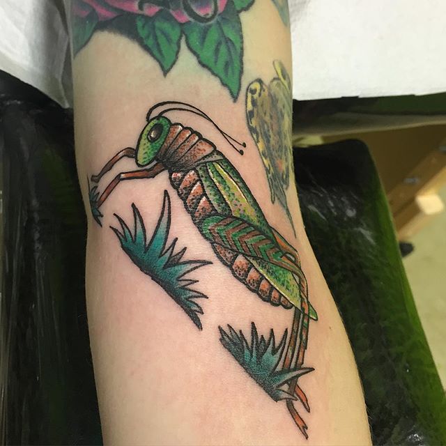 Traditional Grasshopper Tattoo On Left Forearm