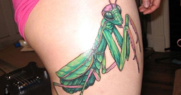 Traditional Grasshopper Tattoo On Right Side Thigh