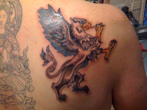 Traditional Griffin Tattoo On Man Right Back Shoulder