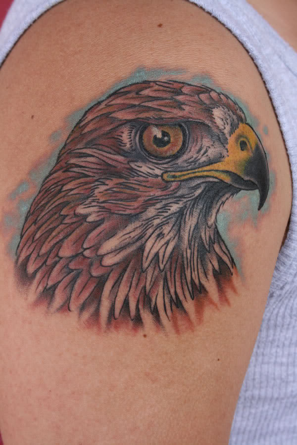 Traditional Hawk Head Tattoo On Man Right Shoulder