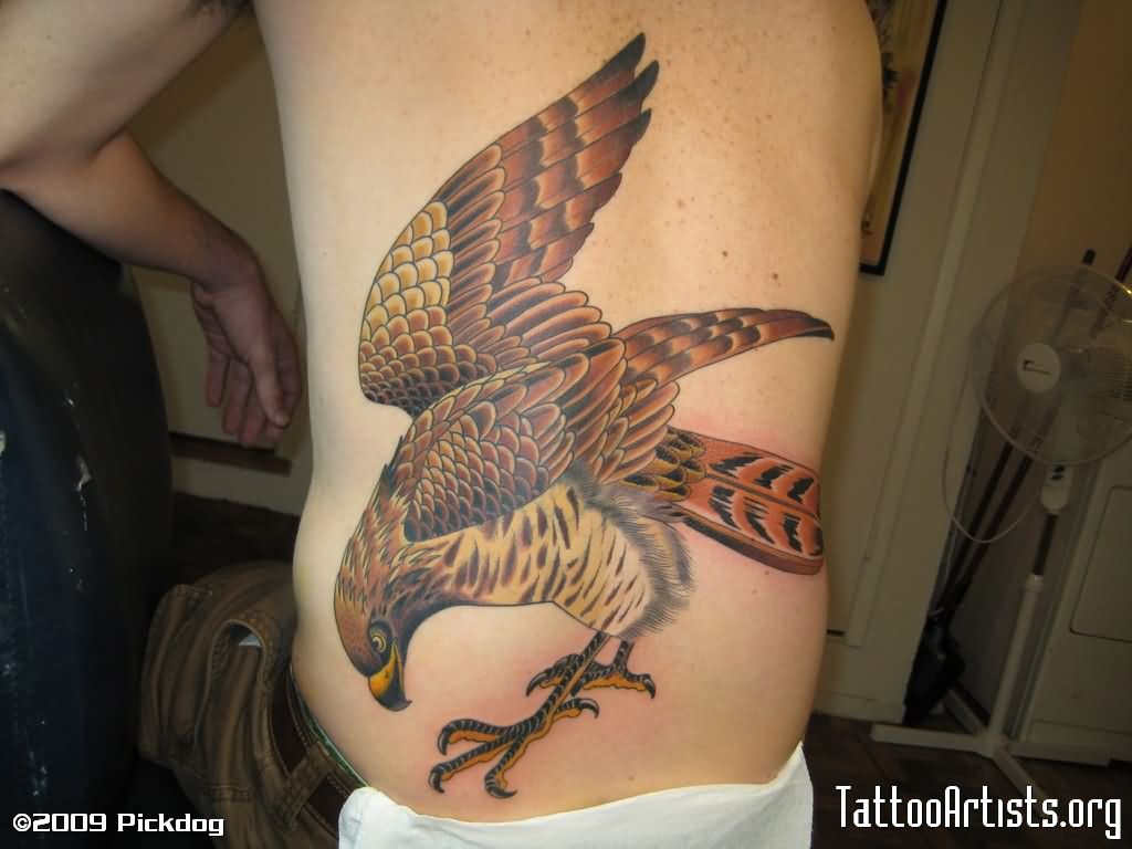 Traditional Hawk Tattoo On Man Left Side Rib