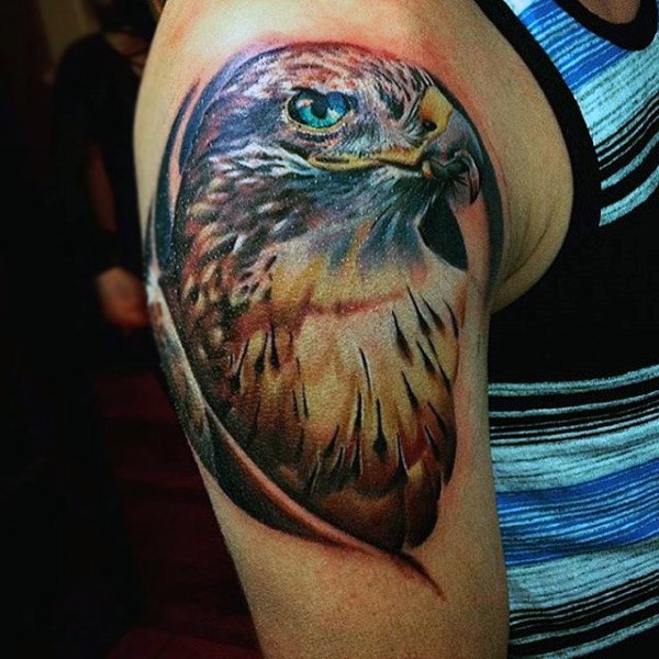Traditional Hawk Tattoo On Man Right Shoulder
