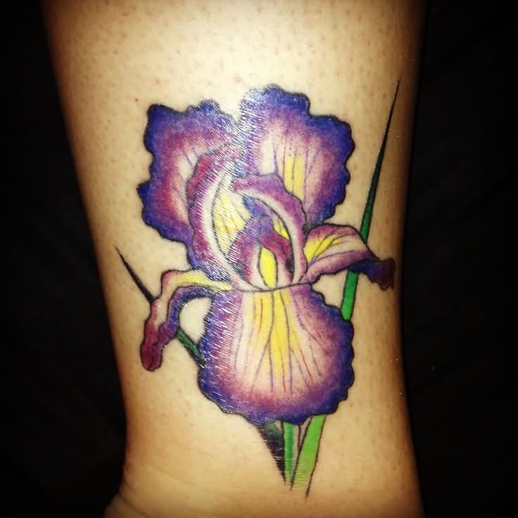 Traditional Iris Flower Tattoo Design For Leg