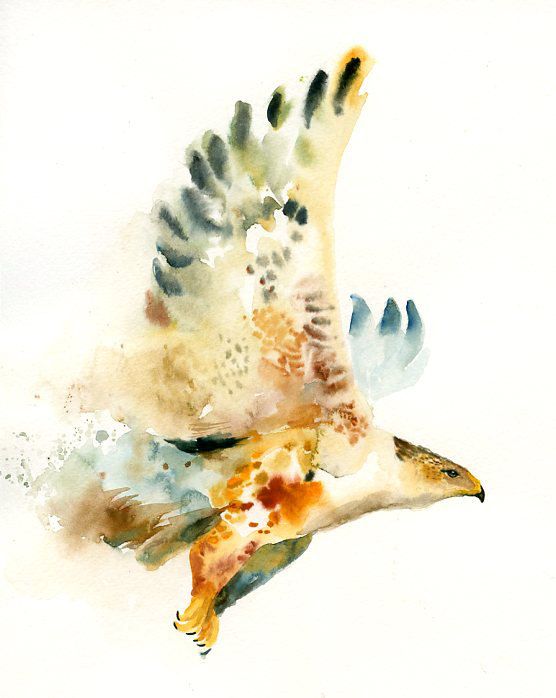 Watercolor Flying Hawk Tattoo Design