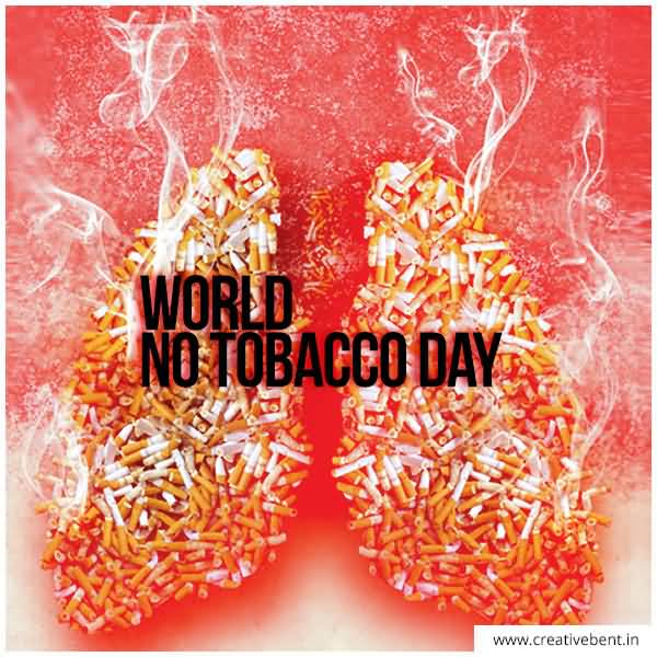 World No Tobacco Day Burning Cigarettes Picture