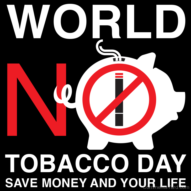 World No Tobacco Day Save Money And Your Life