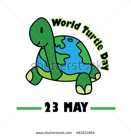 World Turtle Day 23 May Illustration