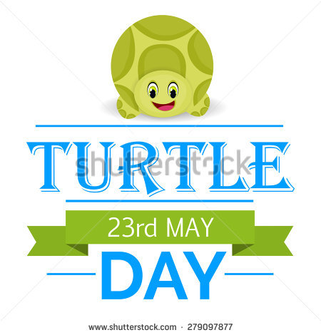 World Turtle Day 23rd May Illustration